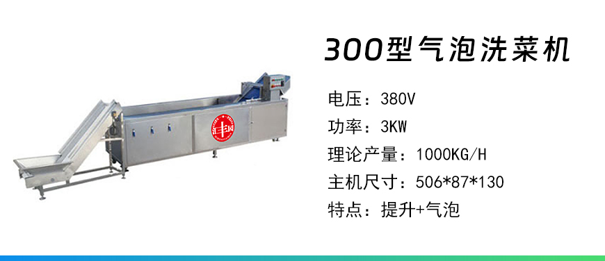 300型氣泡洗菜機.jpg