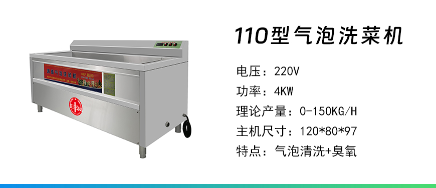 110型氣泡洗菜機.jpg