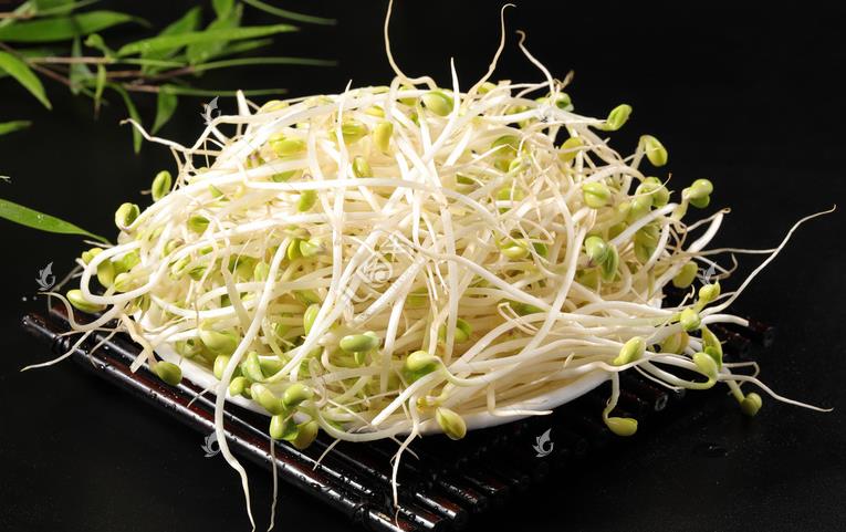 無公害綠色豆芽，怎么生產(chǎn)出來的？全套生產(chǎn)過程如此方便智能